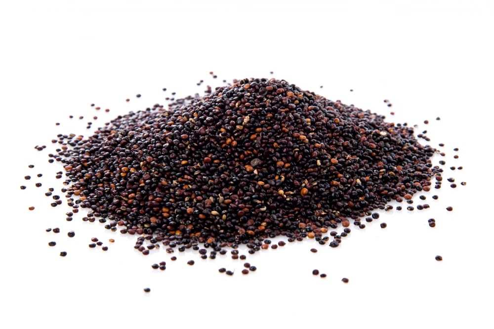 Gingelly seeds, Gingelly oilseeds