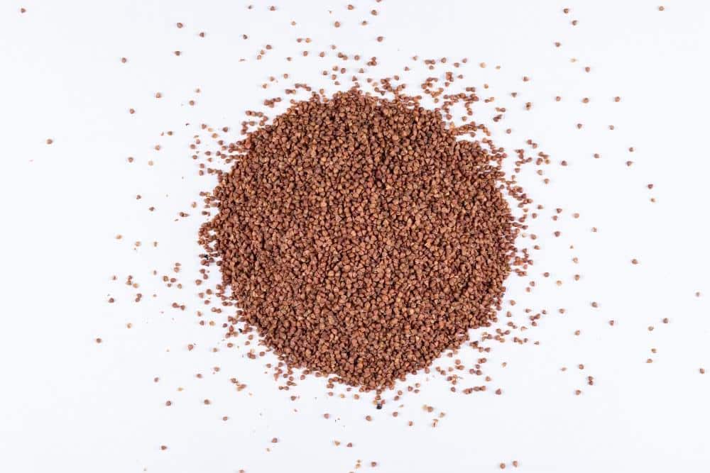 Garden cress seeds, oilseeds