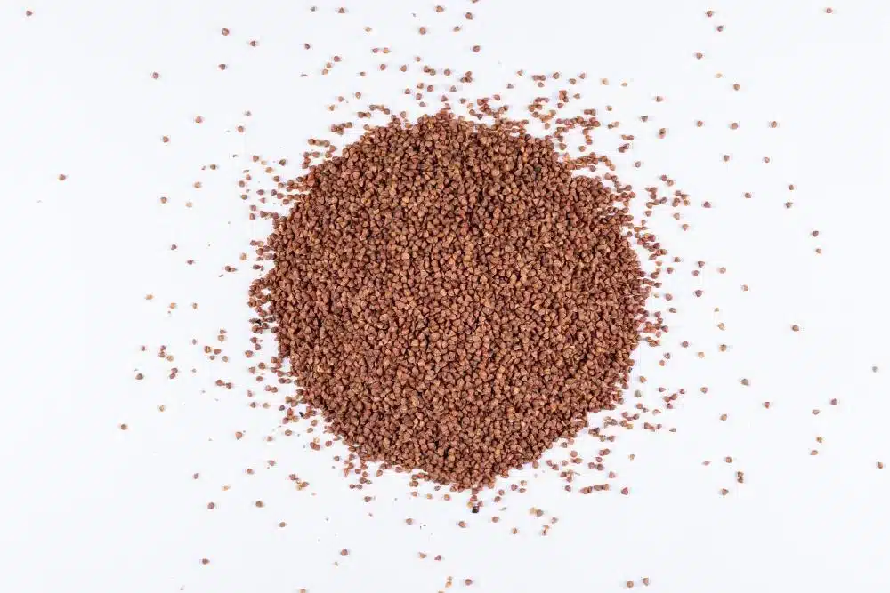 Garden cress seeds, oilseeds