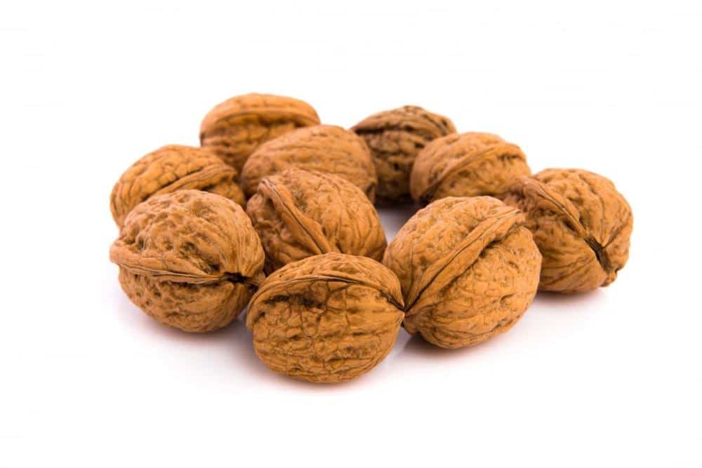 Walnuts with skin