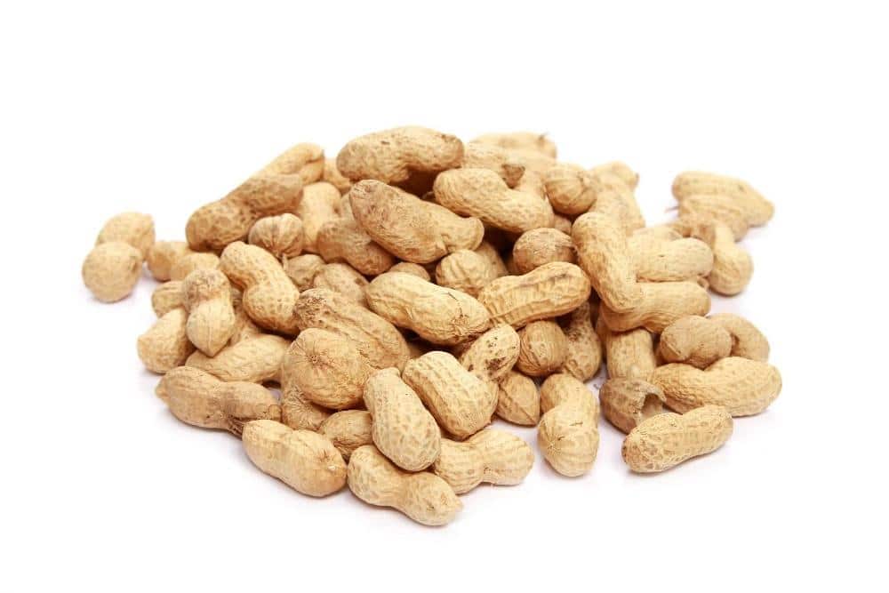 Groundnuts
