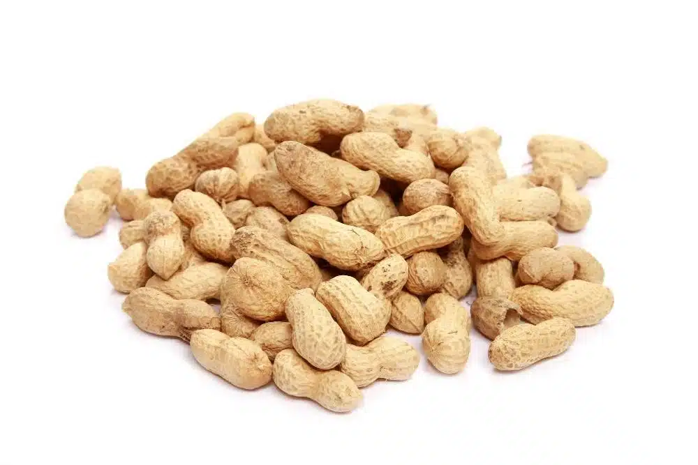 Groundnuts