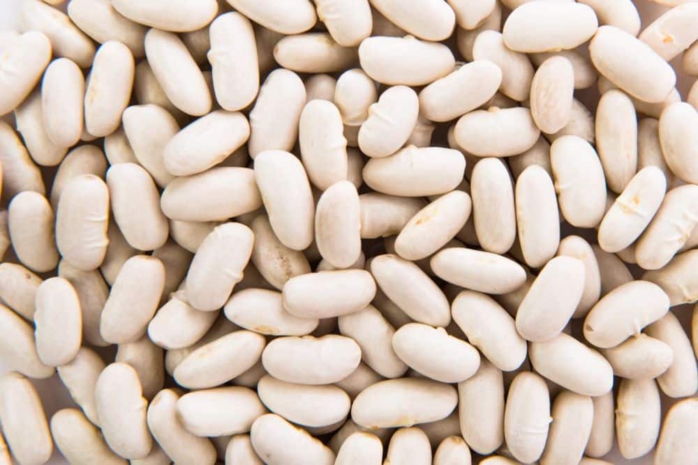 white kidney beans and weight loss