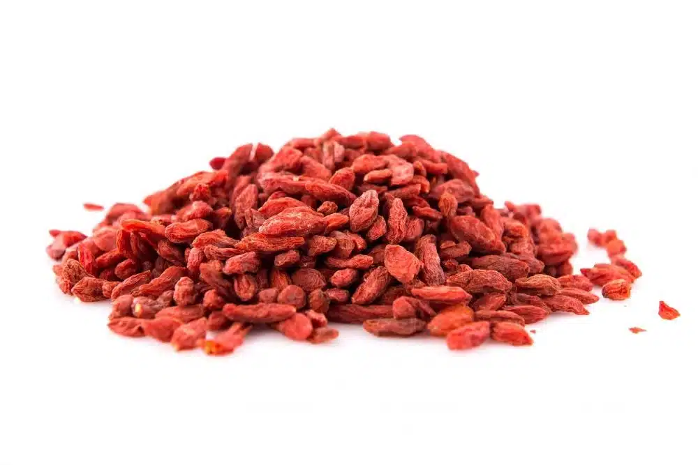 Gojiberry Wolfberry Superfruit berry
