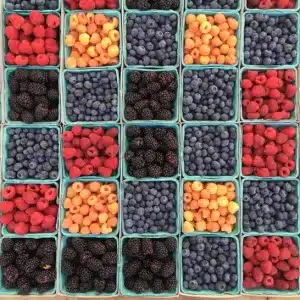 Superfruit berry, Holistic nutrition blog, Holistic health blog, Healthieyoo, Gojiberry, Wolfberry