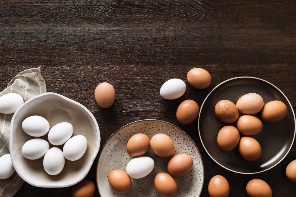 Brown eggs vs white eggs, boiled vs scrambled eggs