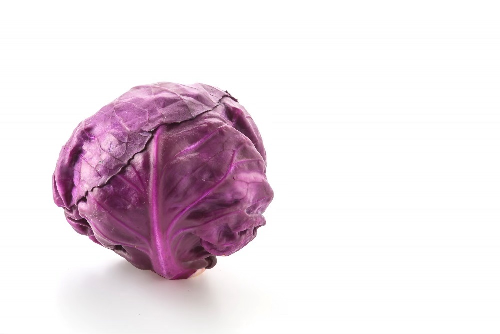 Purple cabbage, purple cabbage nutrition, purple cabbage benefits