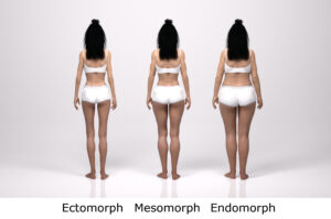 Endomorph, Ectomorph, Mesomorph, 