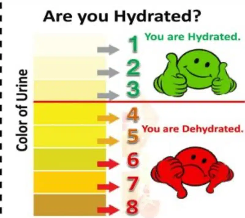 are you hydrated in sports nutrition, nutrients matter blog