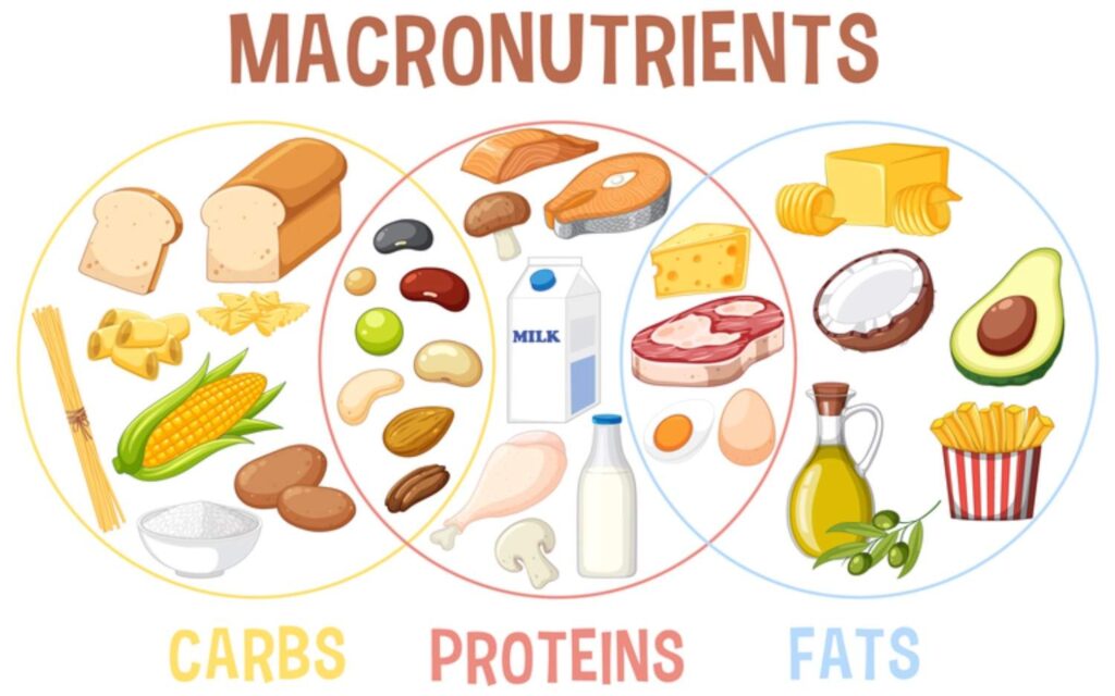 macronutrients, carbs, protein, fats for ultimate sports nutrition, nutrients matter