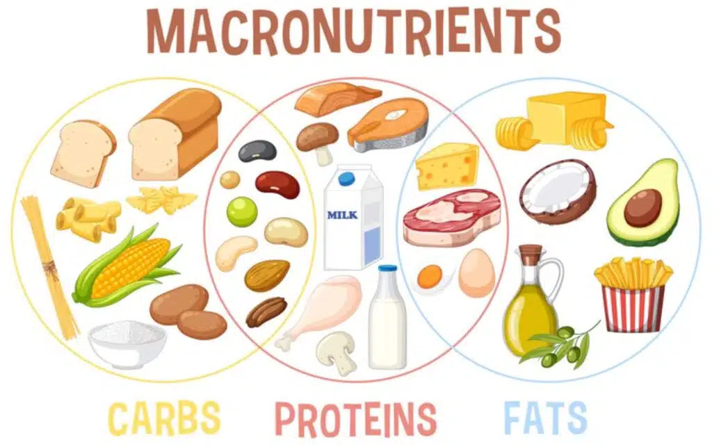 macronutrients, carbs, protein, fats for ultimate sports nutrition, nutrients matter