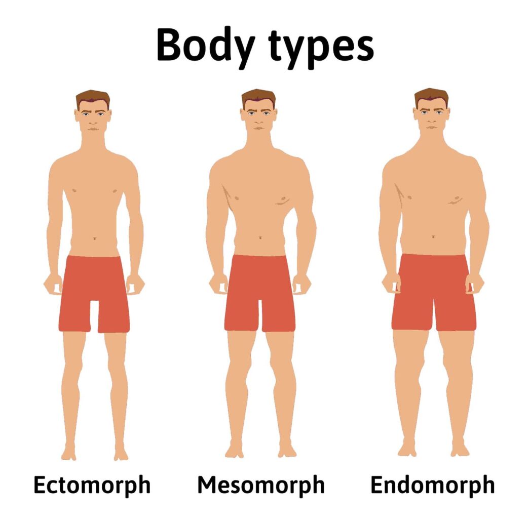 Body types