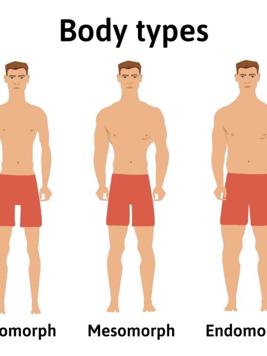 Body types