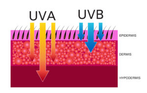 UV A, UV B, how to choose sunscreen, physical vs chemical sunscreen, SPF 30 vs 50