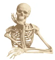 Skeleton thinking, CKD and calcium, CKD and bone disease