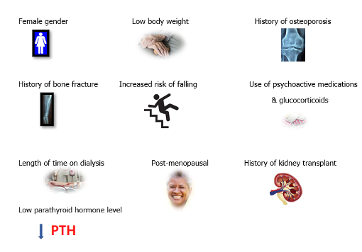 CKD and bone disease risk factors