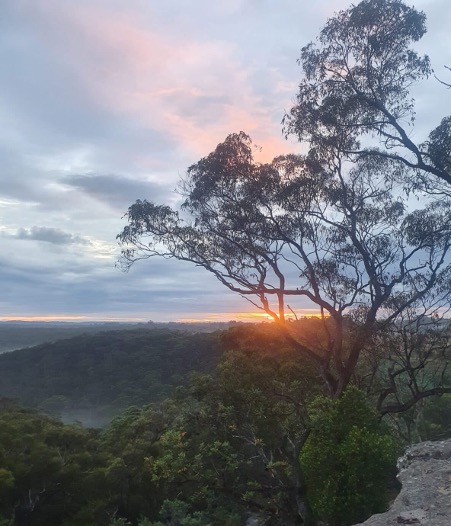 trees, sky, clouds, sun setting, the superpower of self