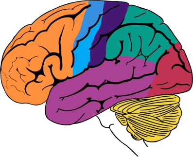 Supercharge your Brain 