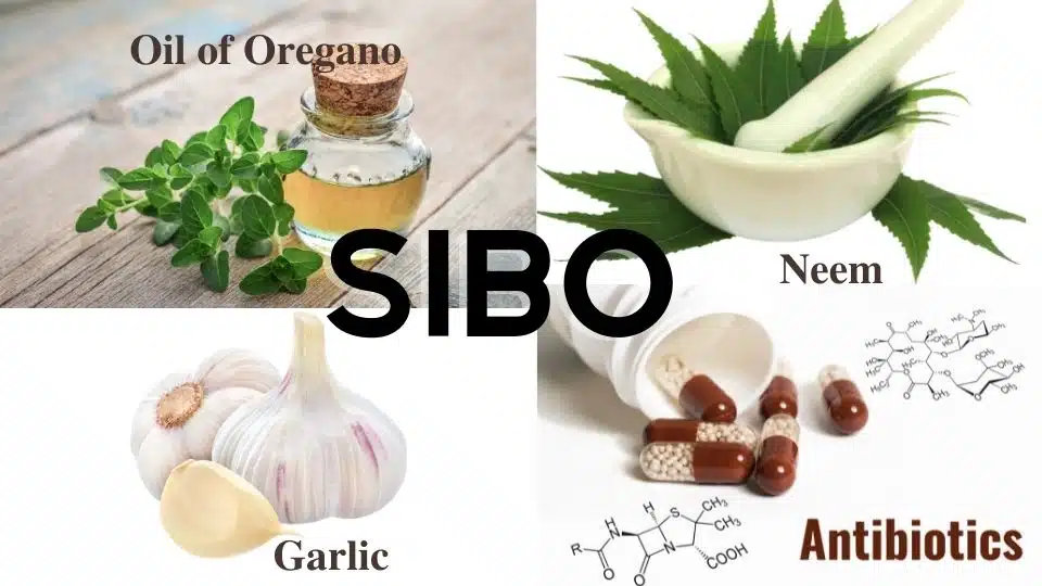 SIBO diet, Small intestinal bacterial outgrowth diet, Oil of oregano, neem, garlic, antibiotics
