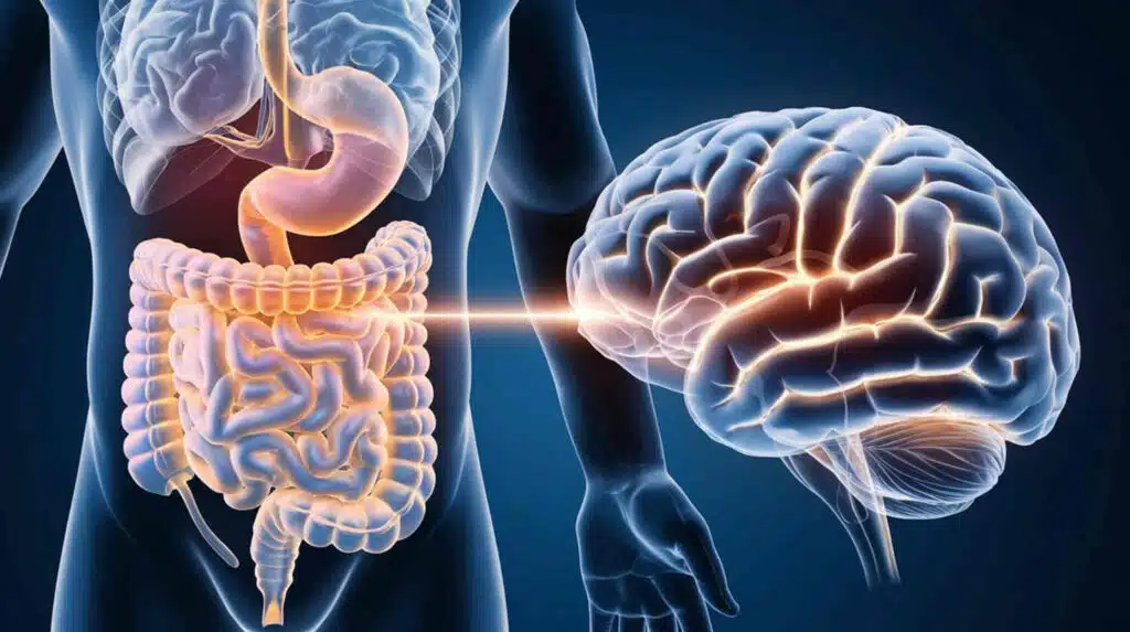 Gut brain connection, Happy gut