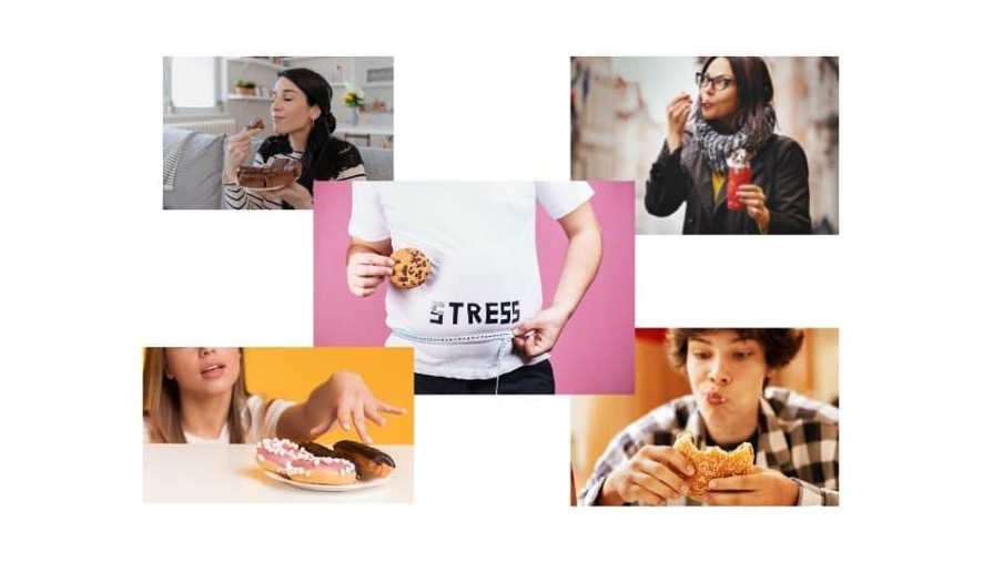 people eating Processed foods for not so happy gut