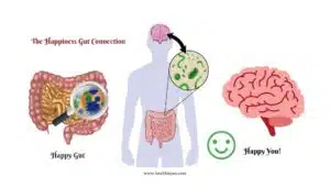 Happiness Gut connection, Happy gut, gut brain axis, food and mood connection