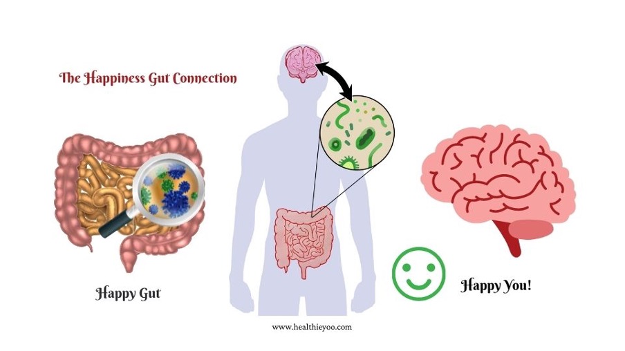 happy gut, the gut brain connection