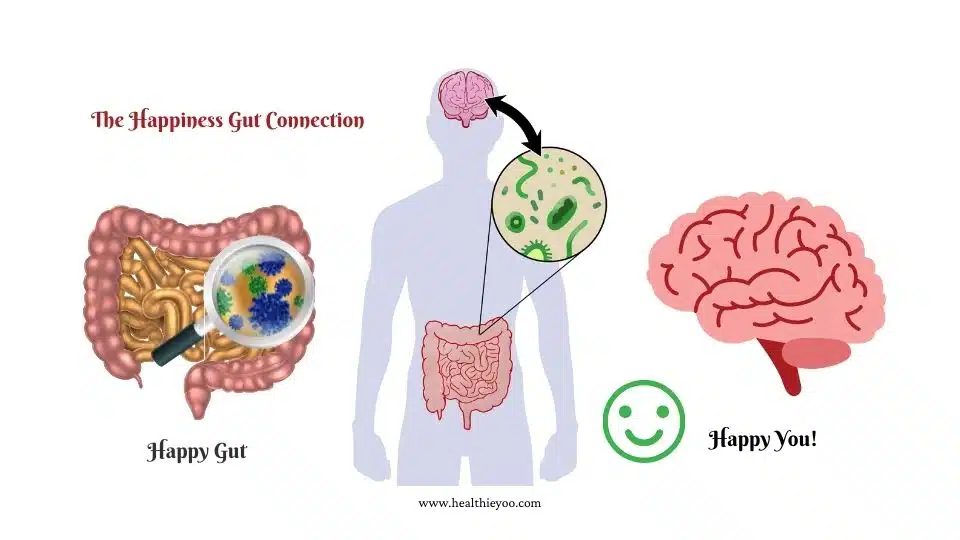 Happiness Gut connection, Happy gut, gut brain axis, food and mood connection