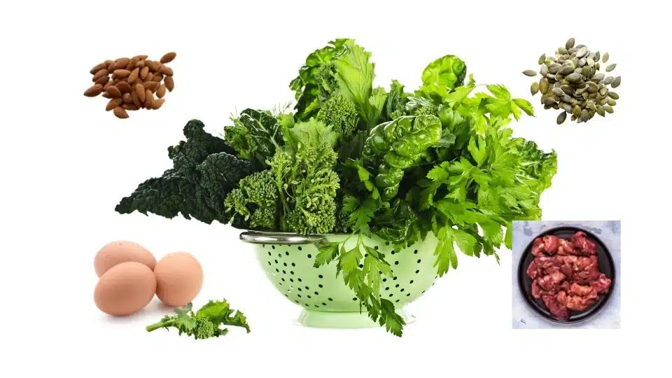 Gene expression, Longevity diet, leafy green, liver, eggs