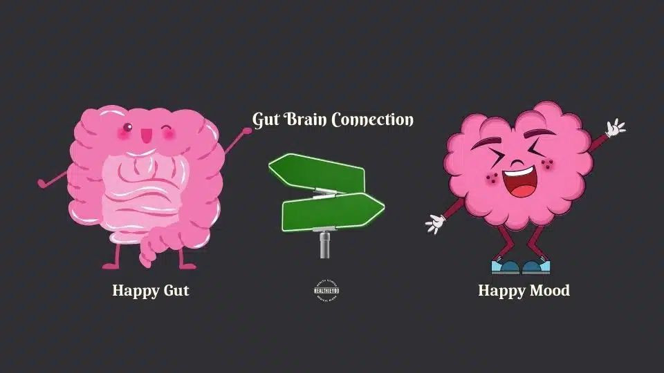 Food and mood connection, Happy gut, happy mood, gut brain axis, happiness gut connection