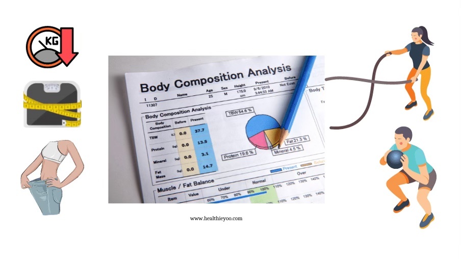 Body composition exercises and analysis