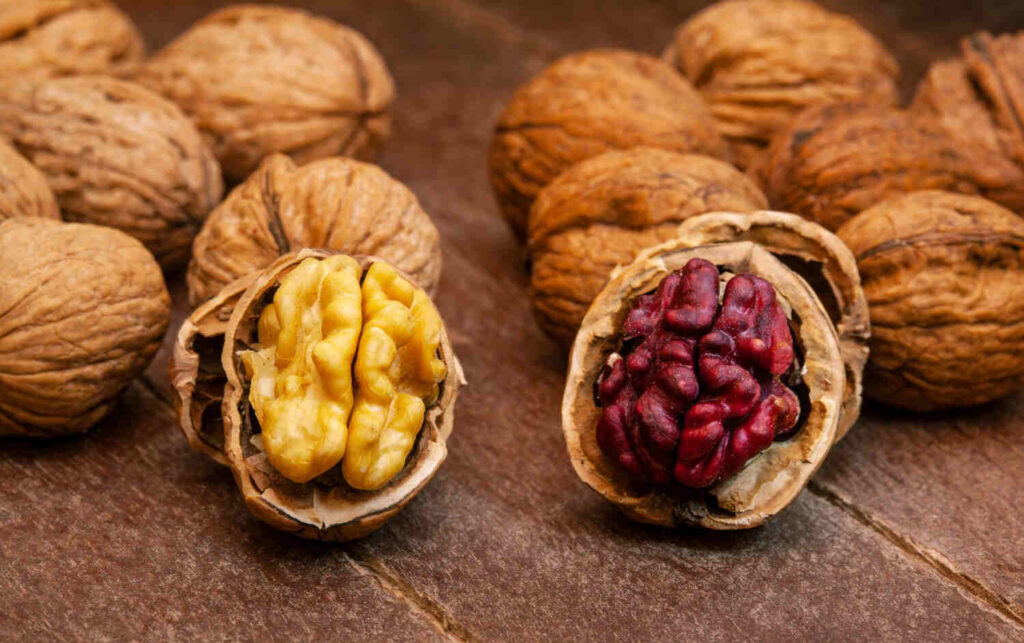 English walnut vs black walnut, persian walnut, walnut varieties