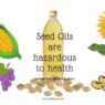 hazards of seed oil consumption
