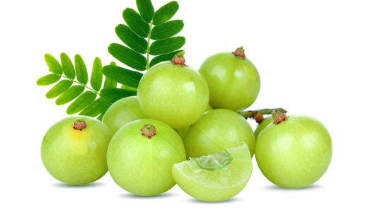Indian gooseberry, Amla, indian berries