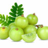 Indian gooseberry, Amla, indian berries