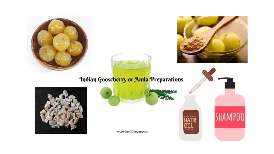 Amla fruit superfood preparations, Emblica officinalis, health benefits