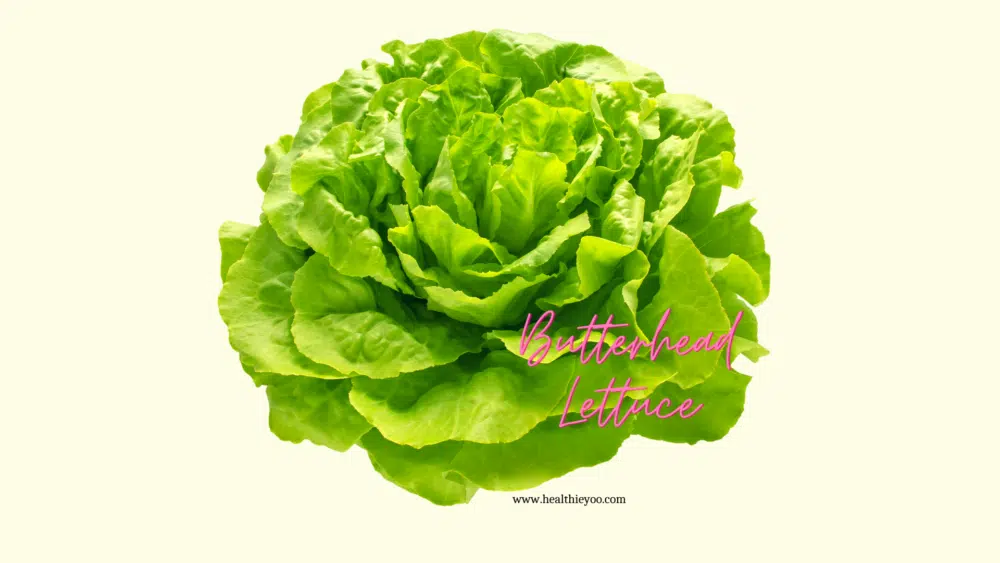 Butterhead lettuce, Bibb lettuce, Boston lettuce, nutrients in butter lettuce, butter lettuce, marvel of four seasons lettuce, buttercrunch lettuce