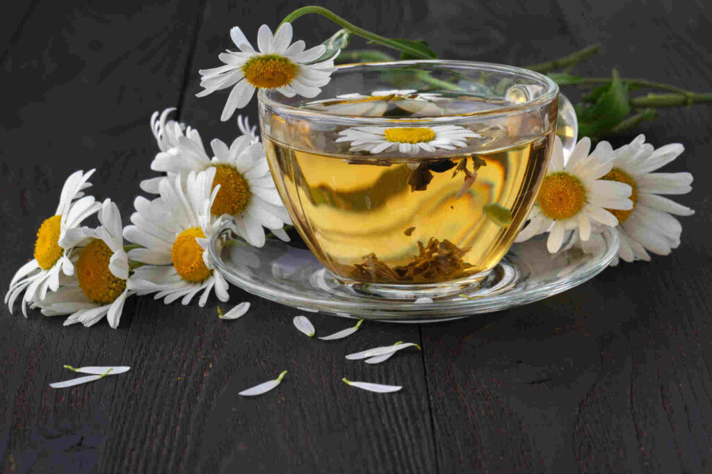 Traditional Medicinals chamomile tea cup saucer with tea and flowers
