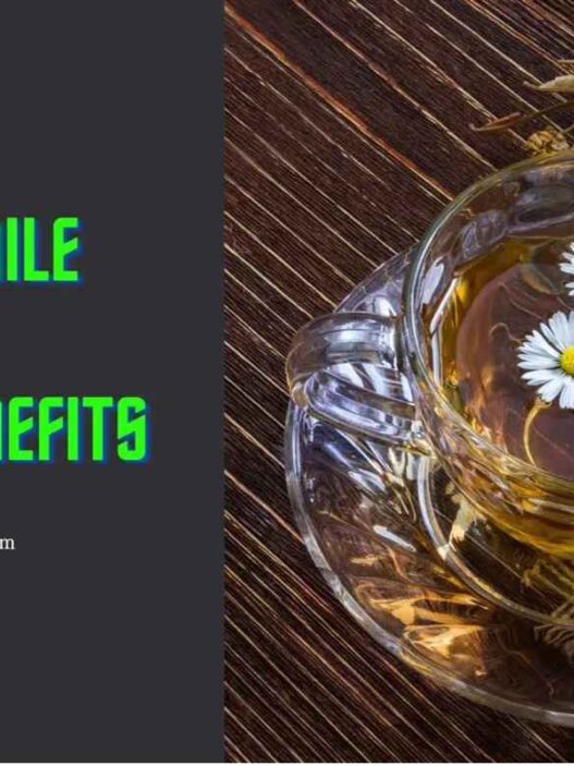 Traditional medicinals chamomile tea health benefits