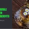 Traditional medicinals chamomile tea health benefits