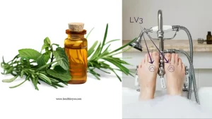 Essential oils for menopause, fragrance notes, aroma point therapy, Vetiver, Wei, Yong, Yuan