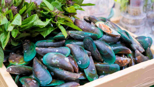 green lipped mussel, Omega XL reviews