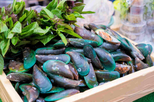 green lipped mussel, Omega XL reviews