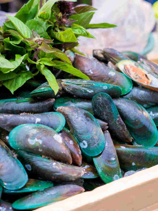 green lipped mussel, Omega XL reviews