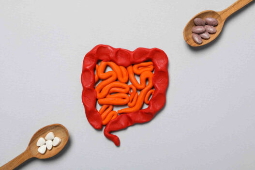 gut and two spoons with tablets, best supplements for digestive health