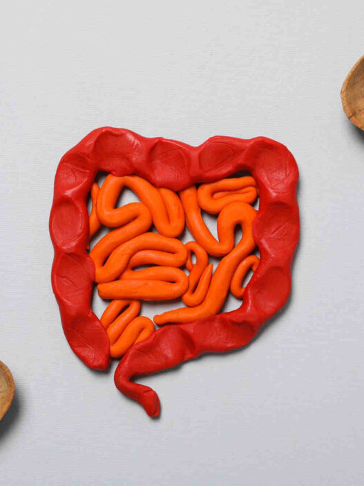 gut and two spoons with tablets, best supplements for digestive health