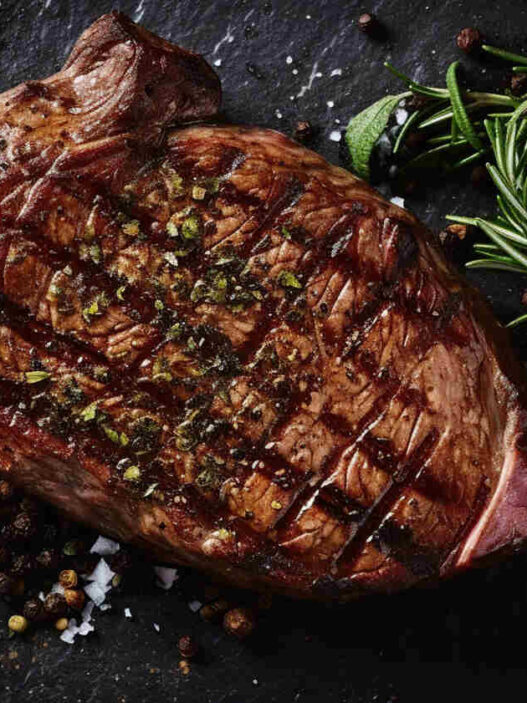 carnivore diet, the proper human diet, carnivore way of eating