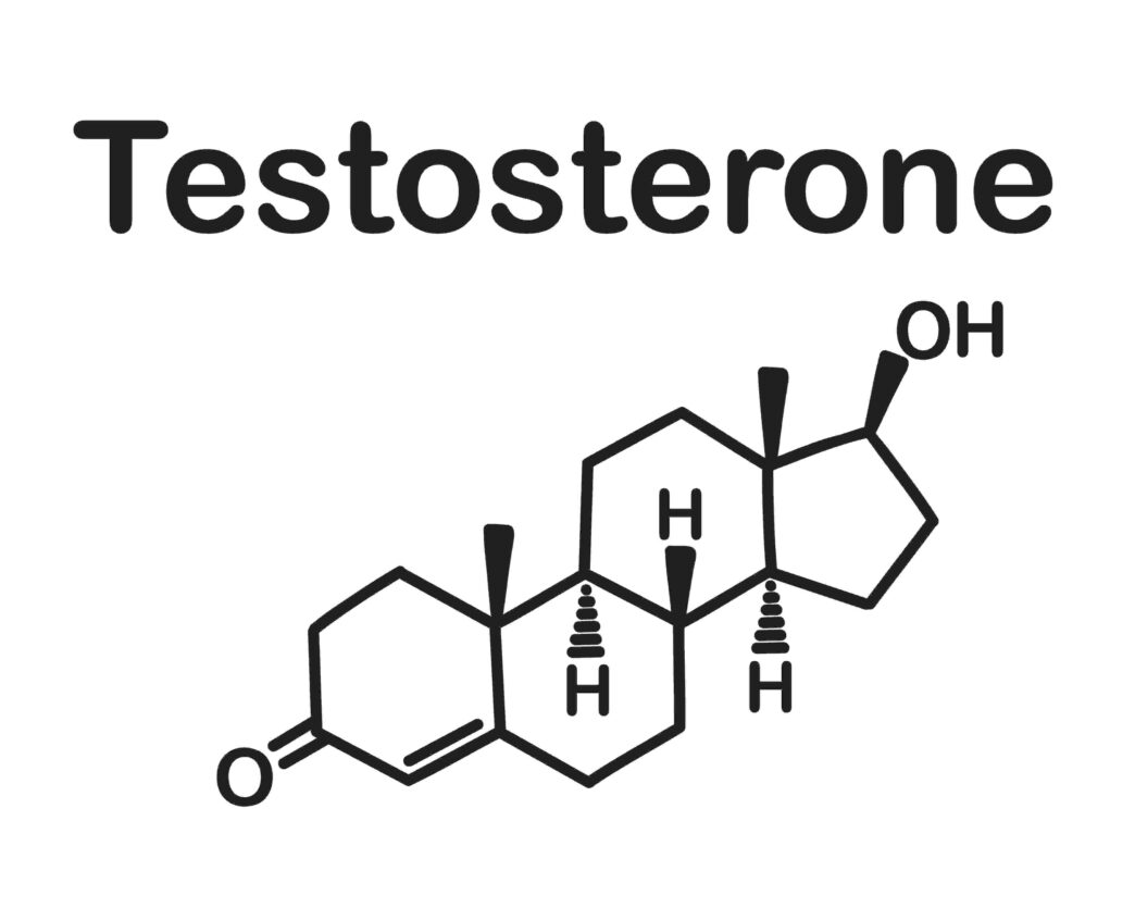 testosterone structure
