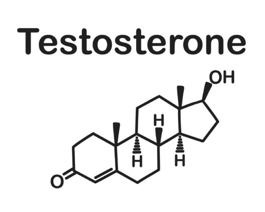 testosterone structure