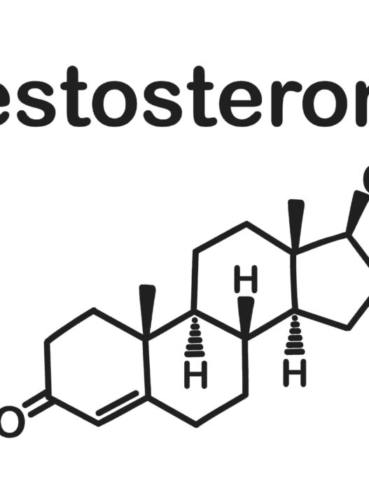 testosterone structure